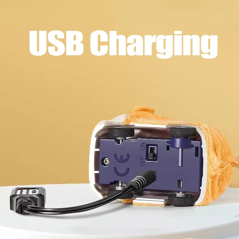 CAPYBARA CONTROL REMOTE WATCH TOY